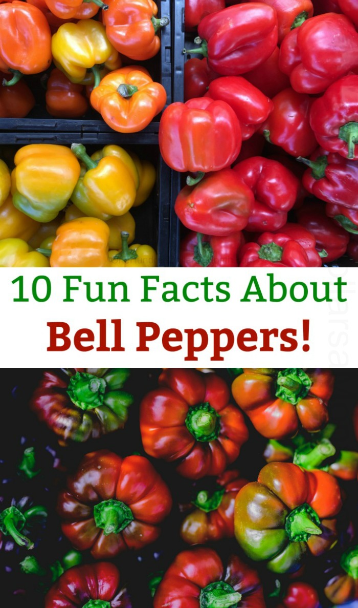 10 Fun Facts About Bell Peppers!