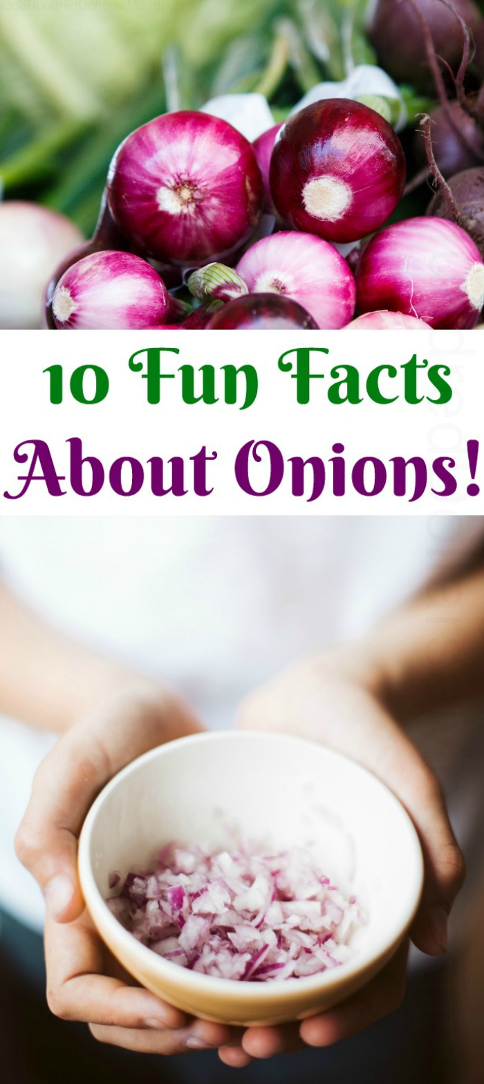 10 Fun Facts About Onions!