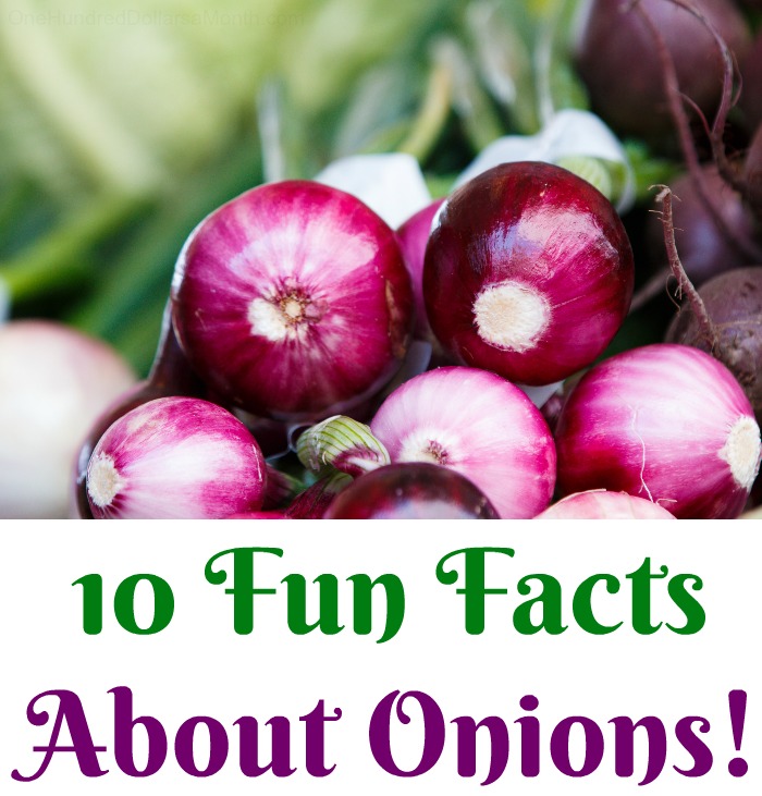 10 Fun Facts About Onions! One Hundred Dollars a Month