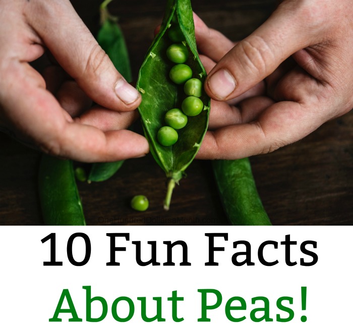 10 Fun Facts About Peas!