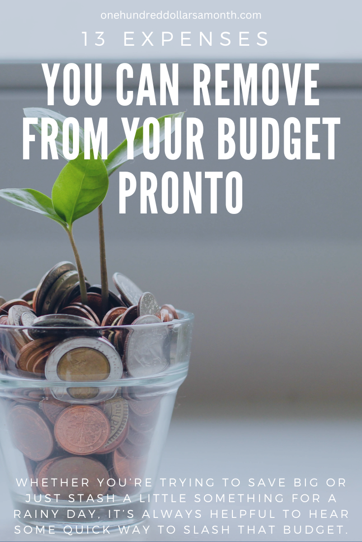 13 Expenses You Can Remove From Your Budget Pronto