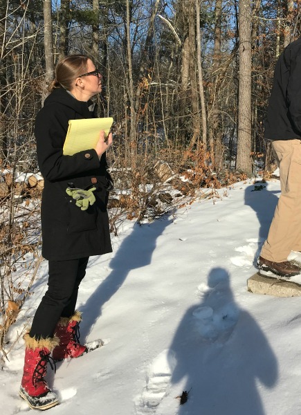 The Search for Our Forever Home