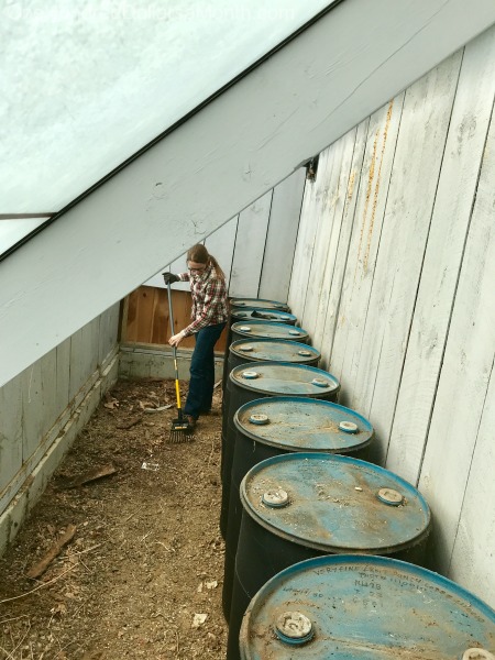 Gardening in New England – Starting Seeds, Cleaning Out the Greenhouse and Finding Treasures