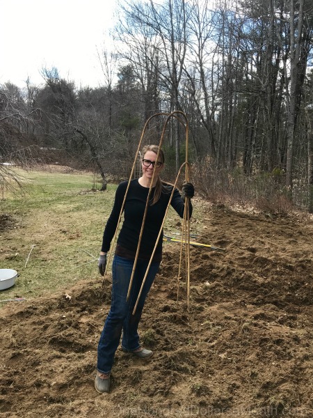 Gardening in New England – Seedling Update, My New Indoor/Outdoor Digital Thermometer and More Hidden Treasures