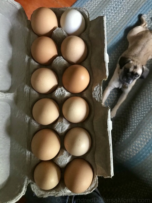 Meal Planning and Grocery Shopping Trips – Week 21 of 52