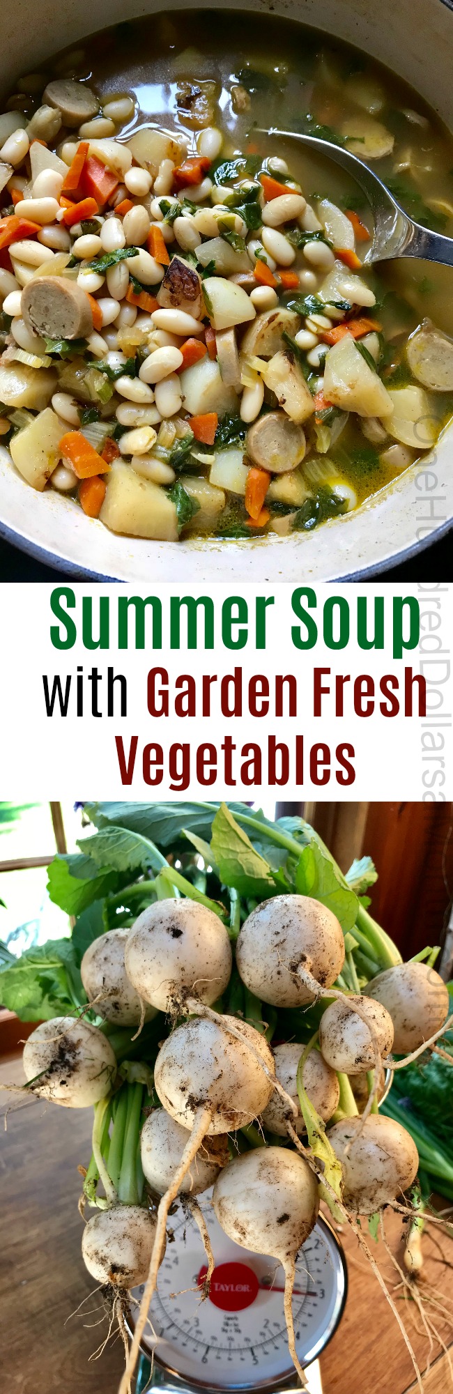 Summer Soup with Garden Fresh Turnips, Swiss Chard and Carrots