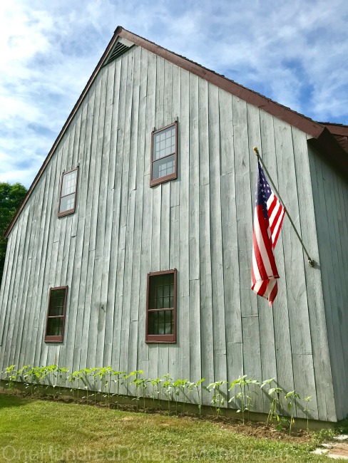 Gardening in New England – Tomatoes, Basil, Turnips Oh My! Plus, Our First Vegetable Stand