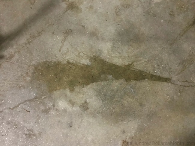 Bits and Bobs for the Beginning of June