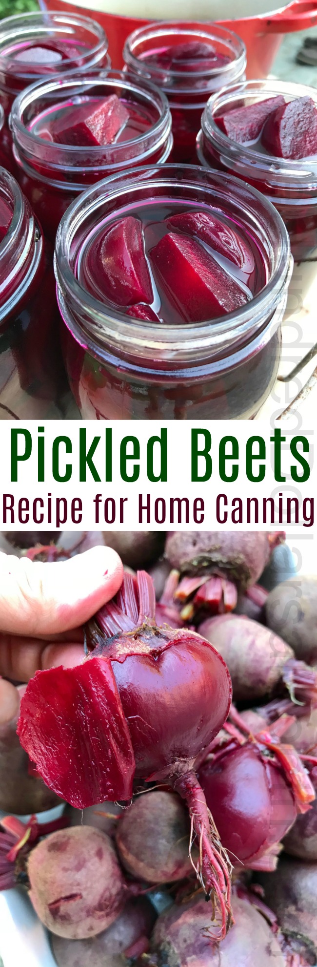 Canning Recipe for Old Fashioned Pickled Beets {No Funky Spices!}