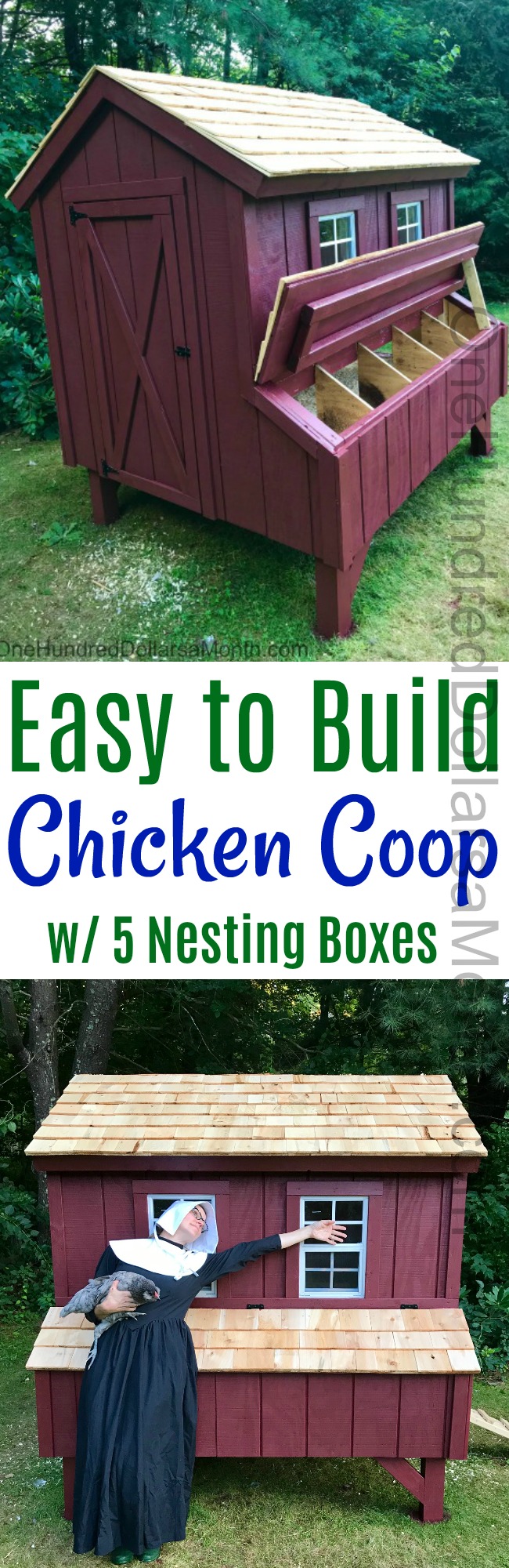 Easy To Build Chicken Coop With 5 Nesting Boxes