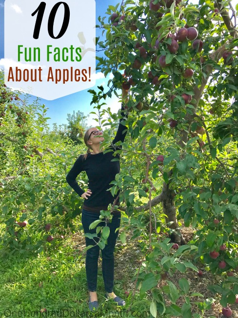 Apple Fast Facts