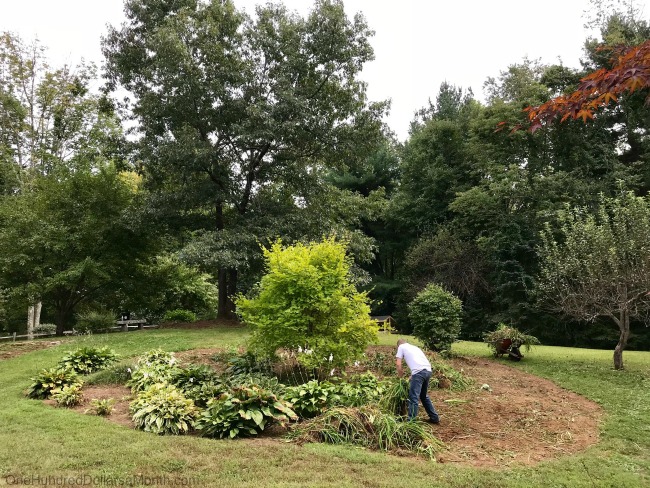 Gardening in New England – I Give Up!