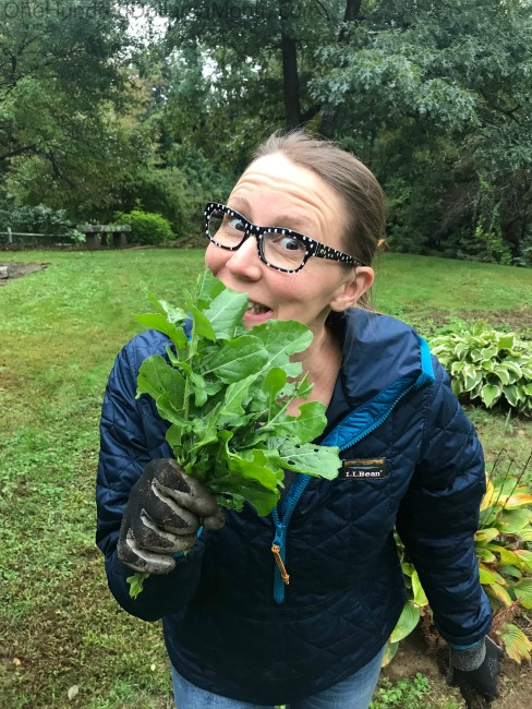 Meal Planning and Grocery Shopping Trips – Week 40 of 52