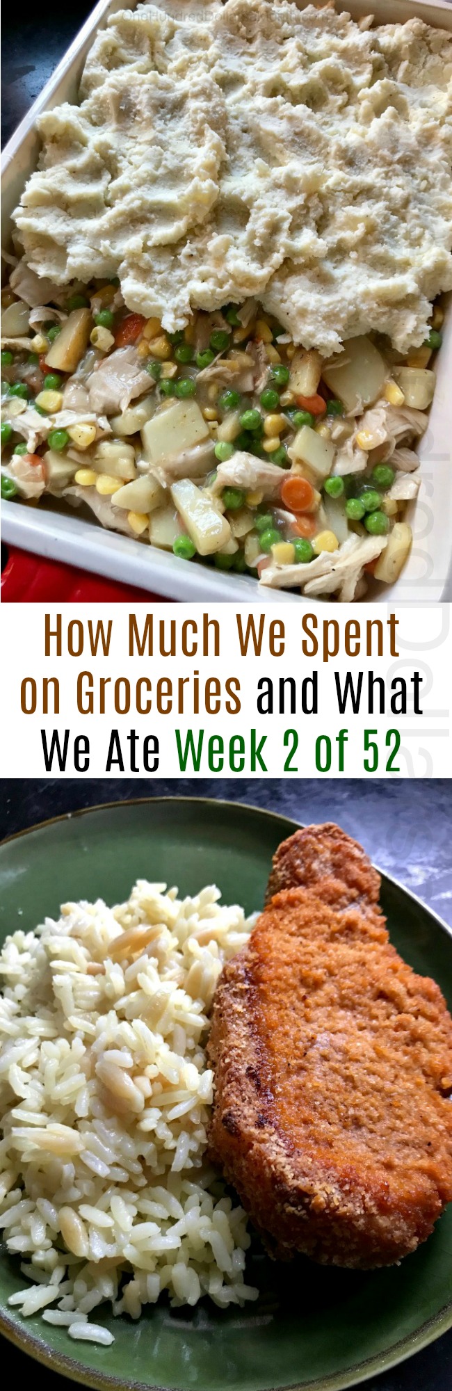 How Much We Spent on Groceries and What We Ate – Week 2 of 52