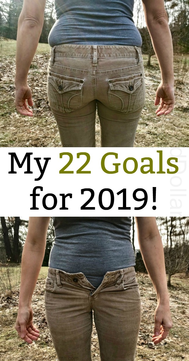 My 22 Goals for 2019!