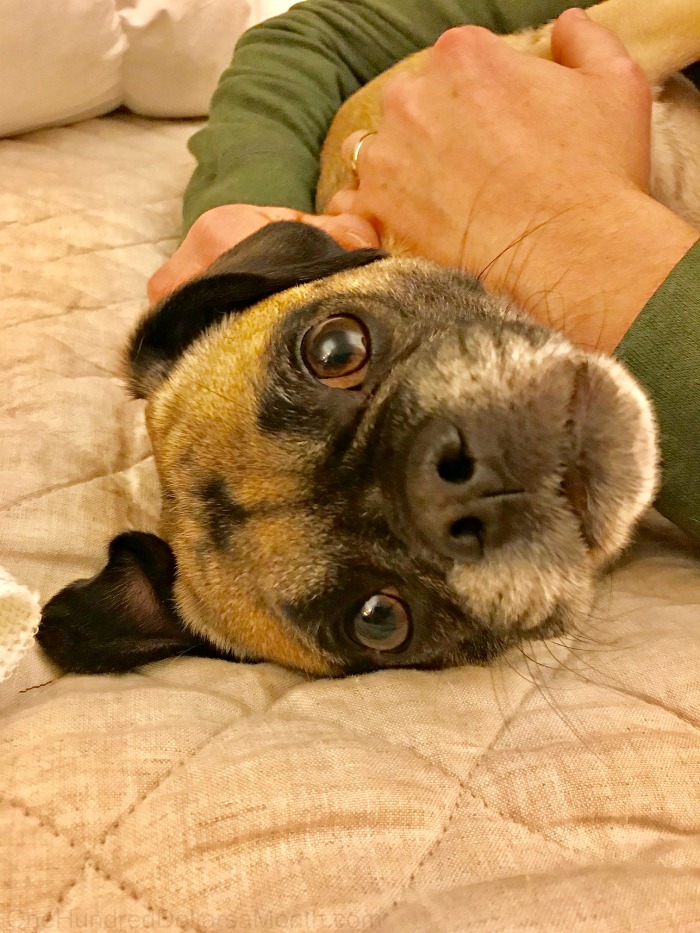 One Hundred Dollars a Month – Mavis’ Weekly Highlights 1/5/19