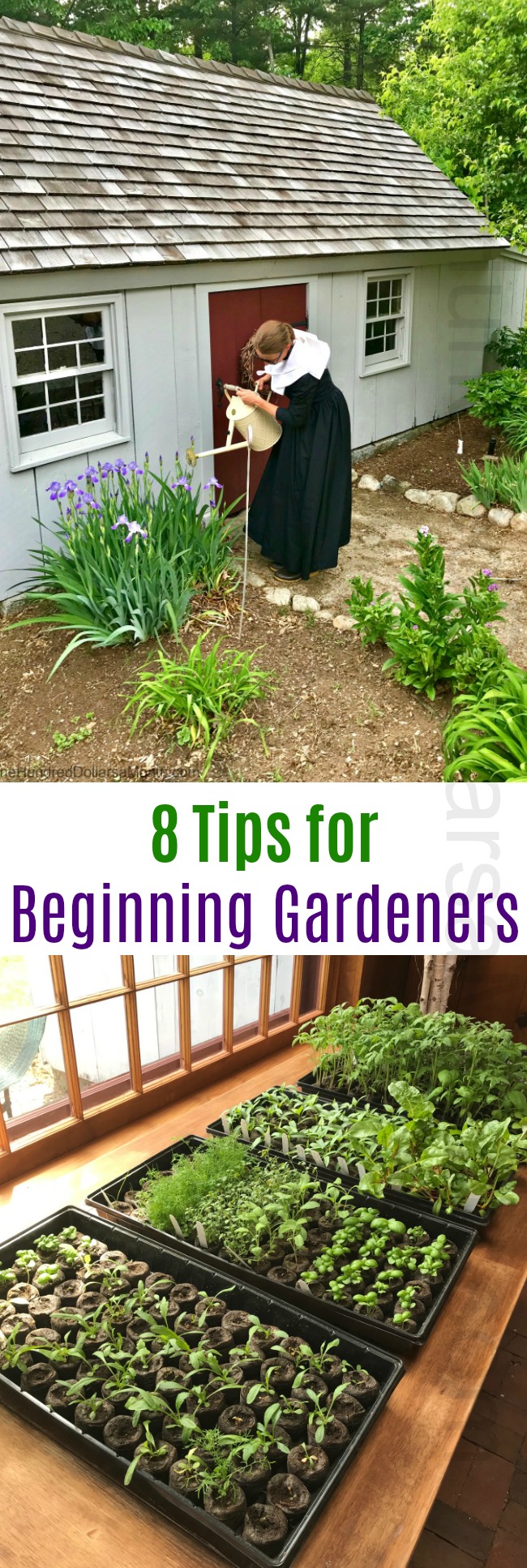 8 Tips for Beginning Gardeners