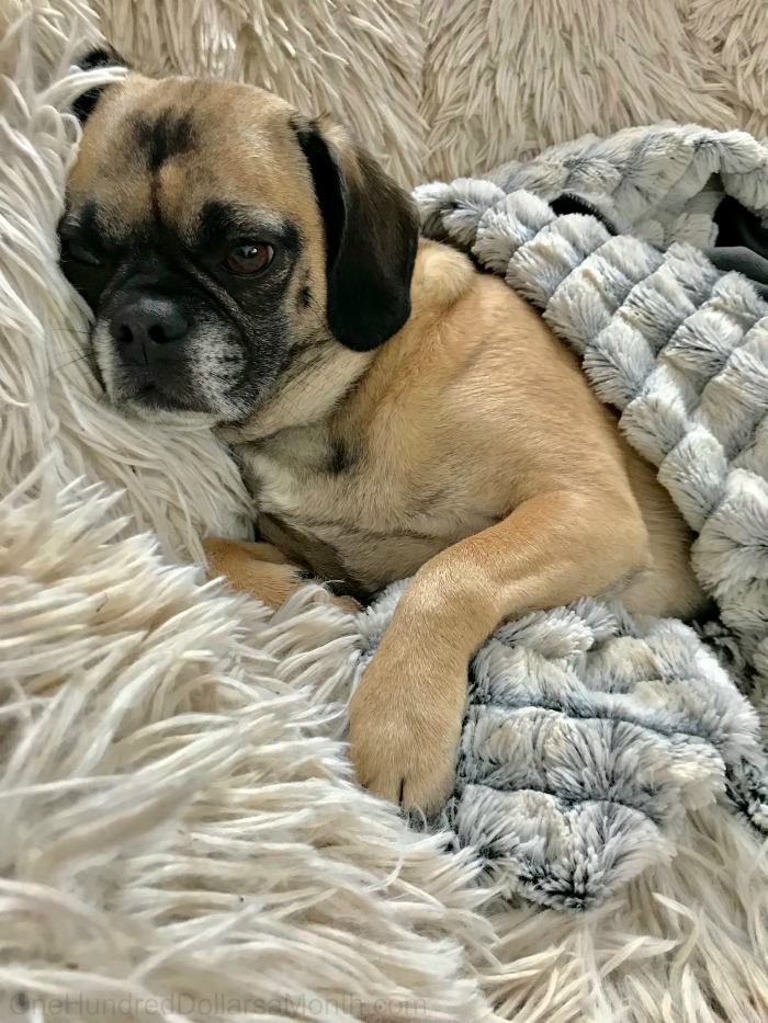 My 22 Goals for 2019 – Week 8 of 52