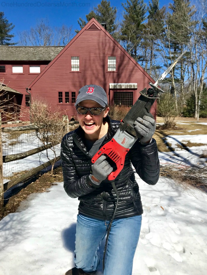 My 22 Goals for 2019 – Week 12 of 52