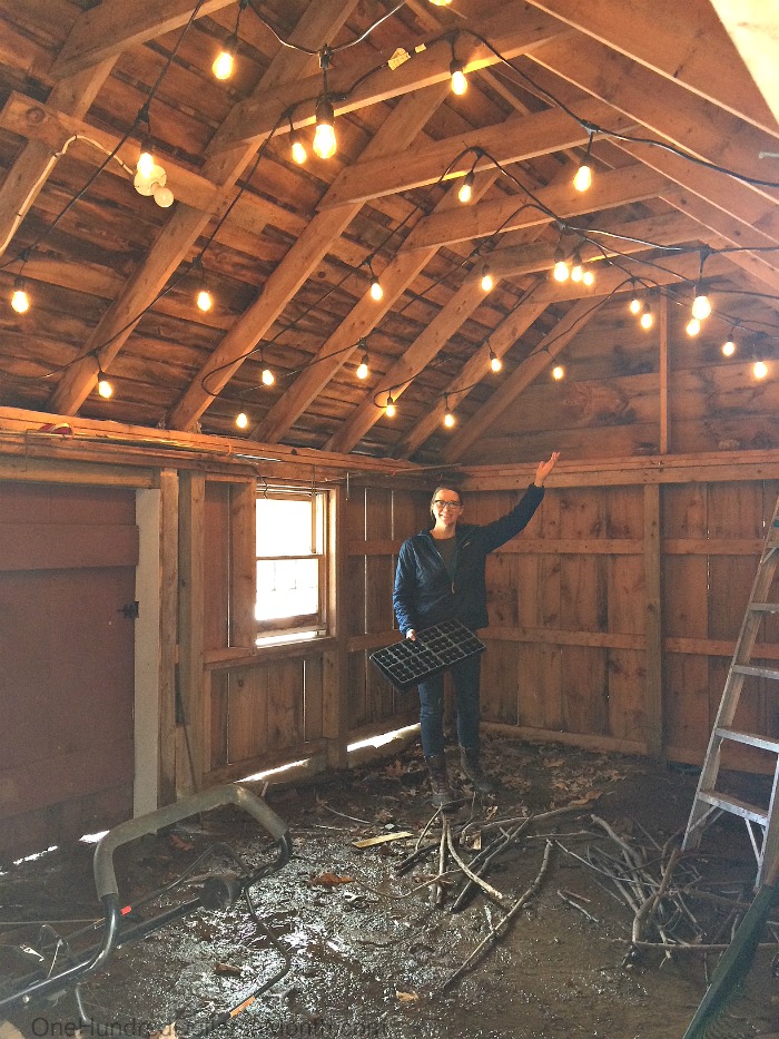 My 22 Goals for 2019 – Week 11 of 52