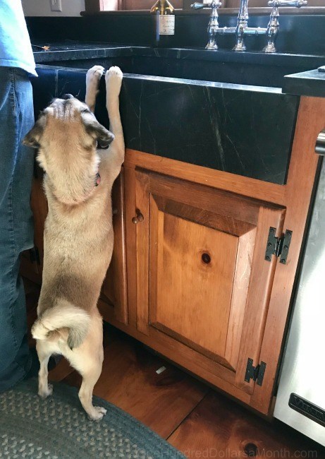 One Hundred Dollars a Month – Mavis’ Weekly Highlights 4/27/19