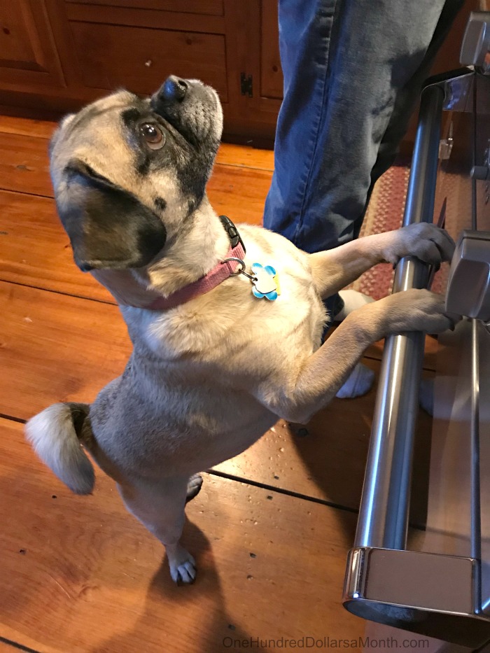 One Hundred Dollars a Month – Mavis’ Weekly Highlights 4/6/19