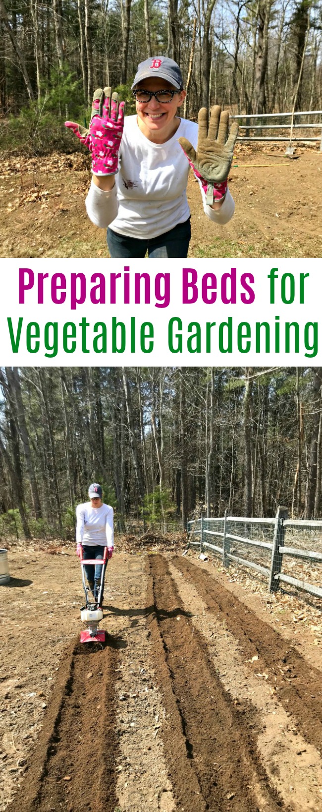 Gardening in New England – Clearing Beds, Tilling Rows and Scratching Like Crazy!