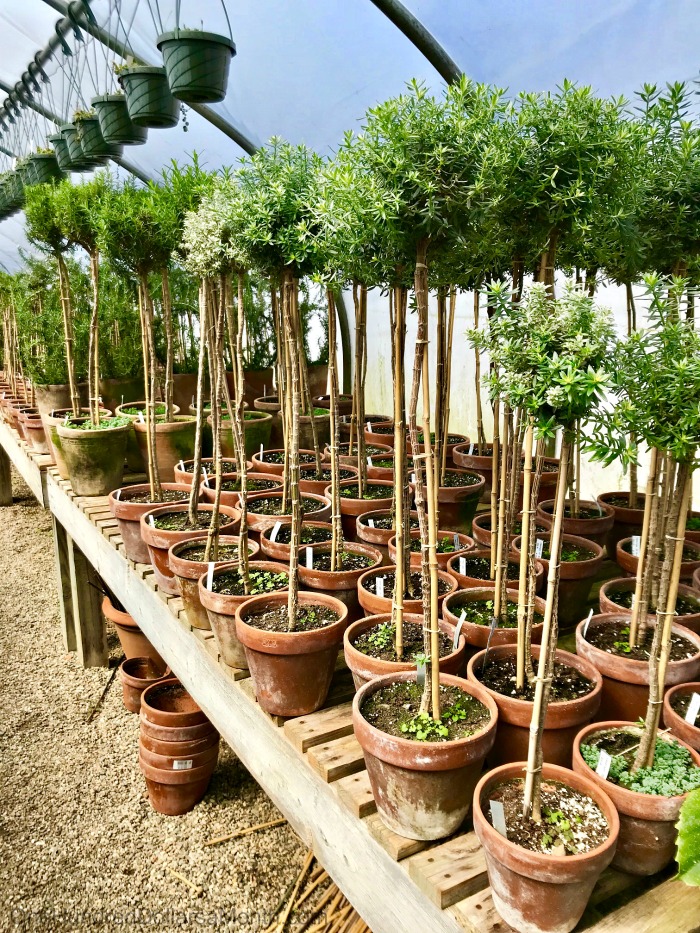 My 22 Goals for 2019 – Week 14 of 52