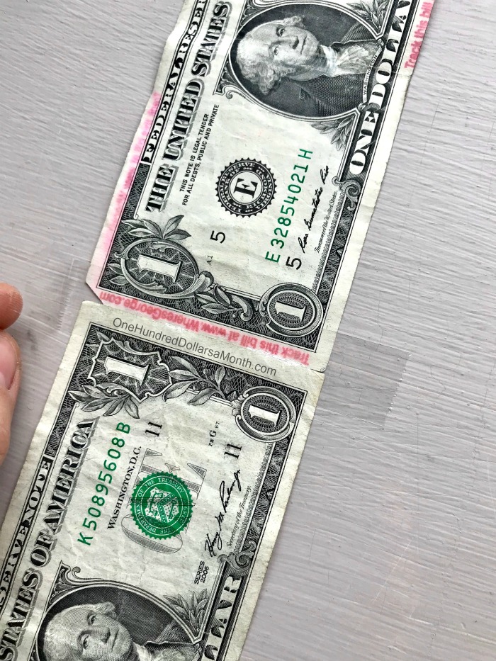 money tissue box