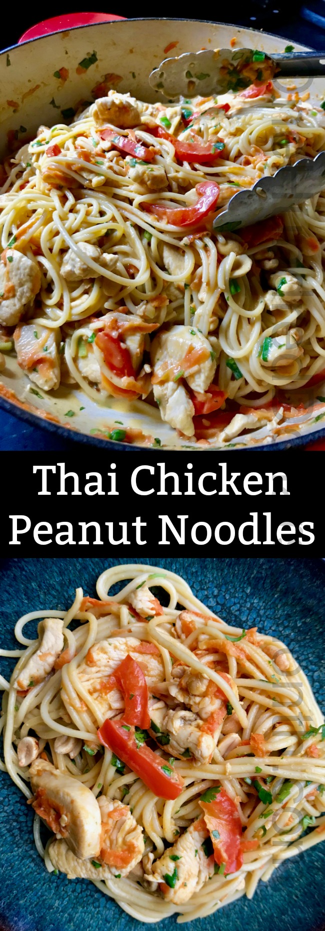 Thai Chicken Peanut Noodles