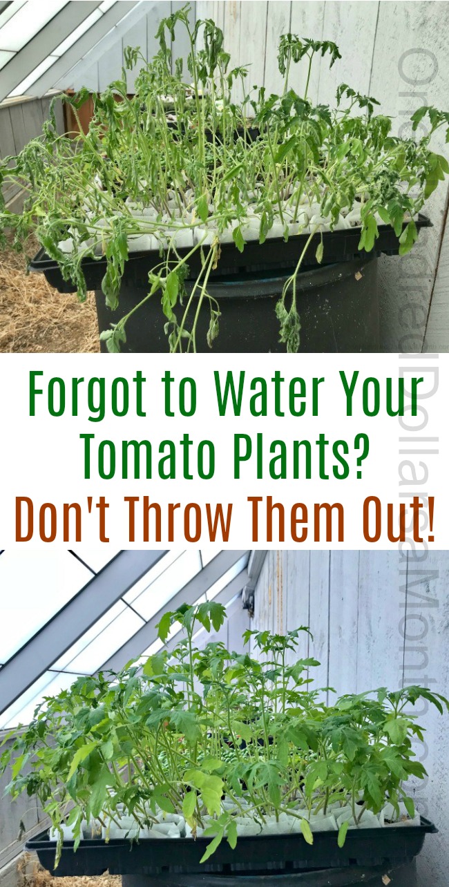 My 22 Goals for 2019 – Week 21 of 52