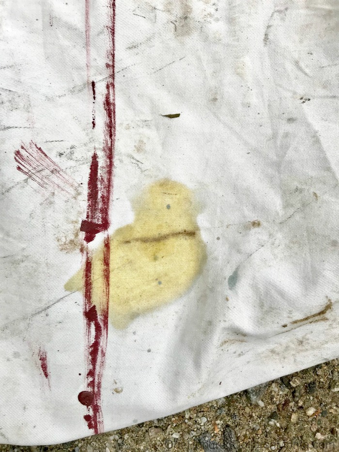 Pareidolia – Do You See What I See? (pt 2)