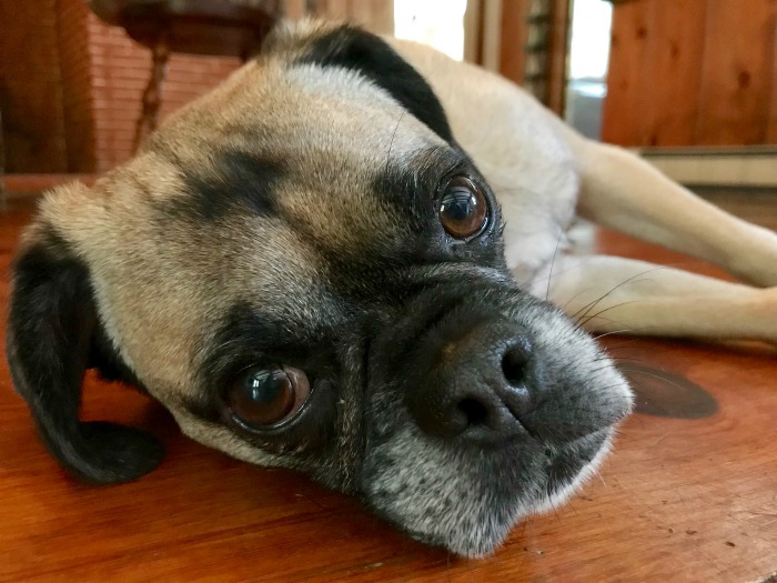 My 22 Goals for 2019 – Week 23 of 52