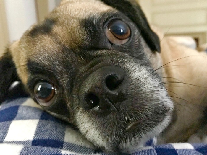 My 22 Goals for 2019 – Week 24 of 52