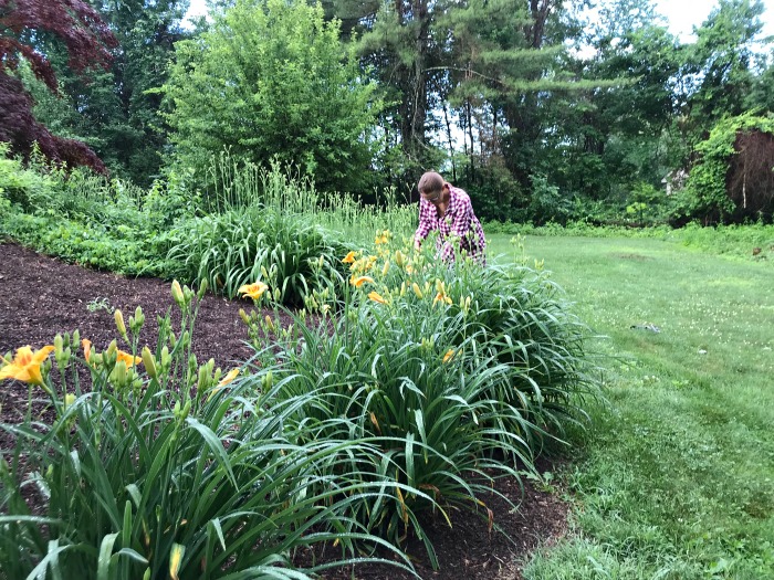 My 22 Goals for 2019 – Week 26 of 52