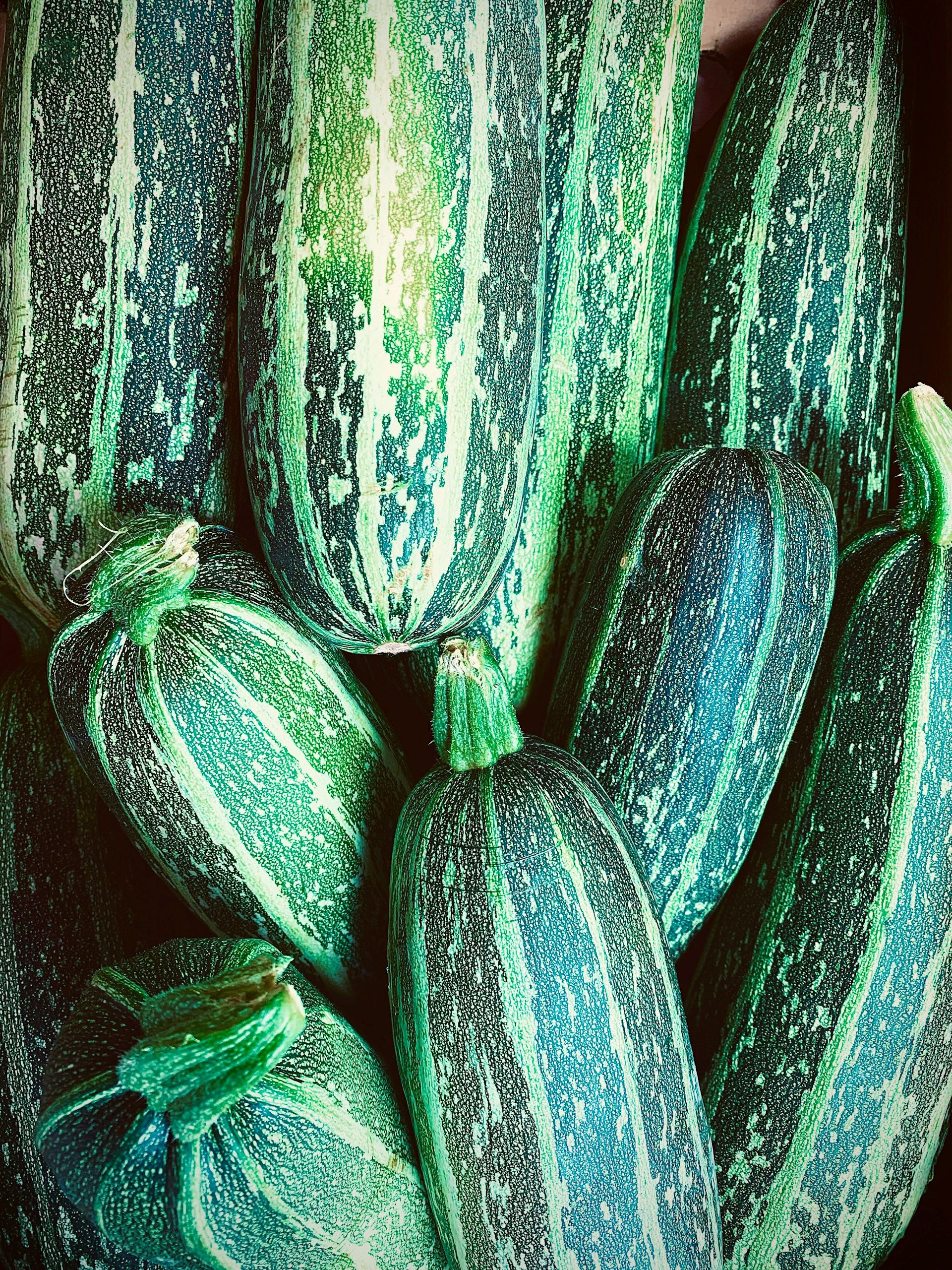 10 Fun Facts About Zucchini!