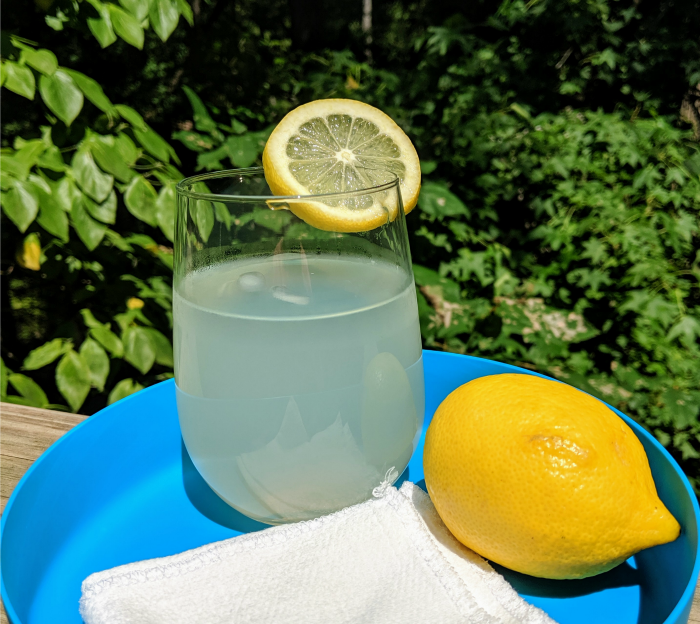 Mel's DIY Lemonade Concentrate Recipe One Hundred Dollars a Month