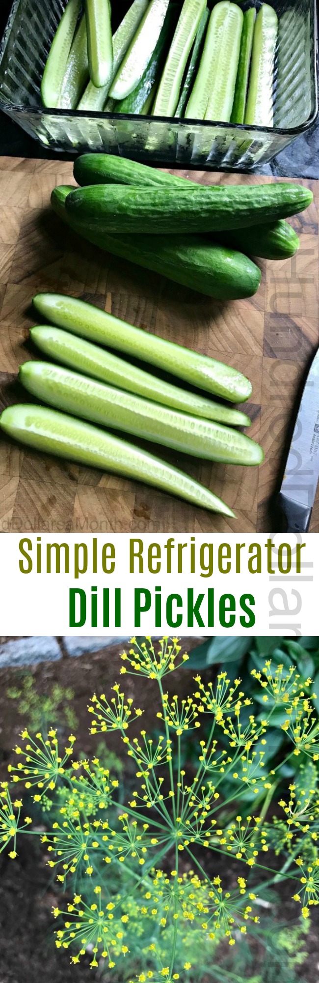 Simple Refrigerator Dill Pickles