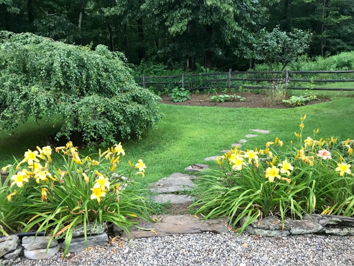 Gardening in New England – August 1st, 2019