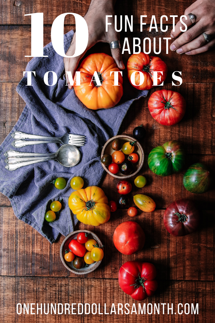 10 Fun Facts About Tomatoes!