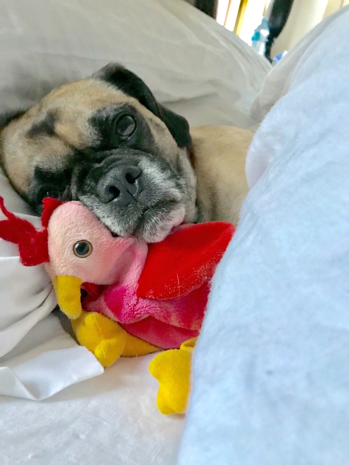 One Hundred Dollars a Month – Mavis’ Weekly Highlights 8/24/19