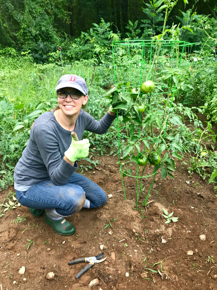 How to Prune Tomato Plants