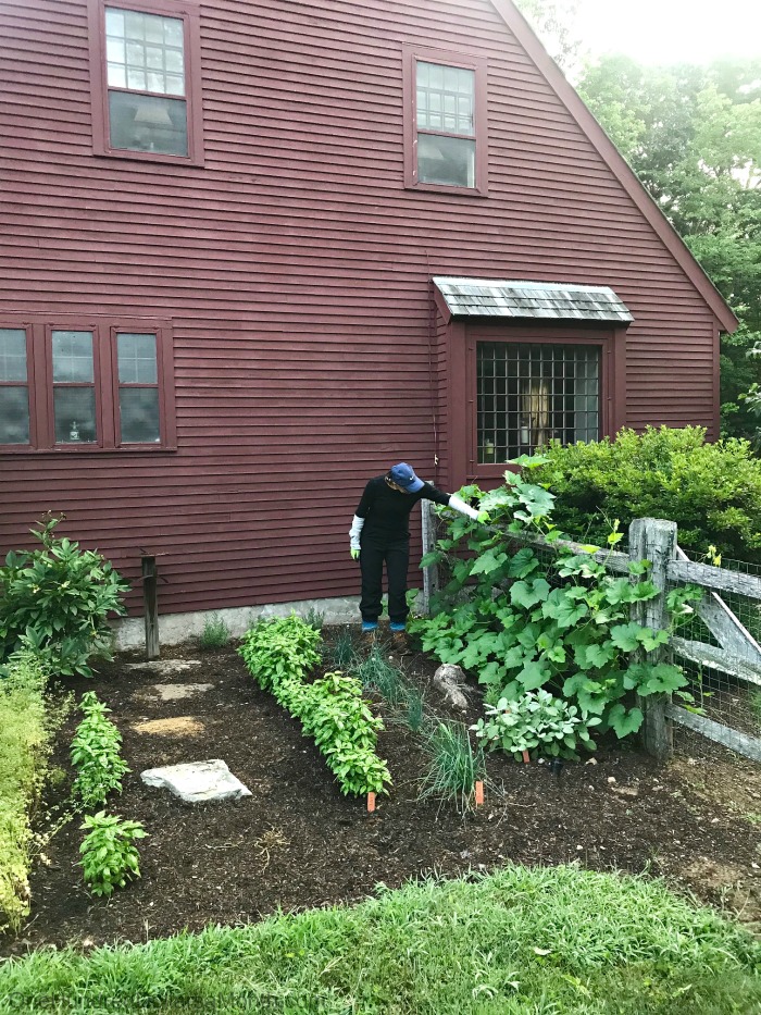 My 22 Goals for 2019 – Week 31 of 52