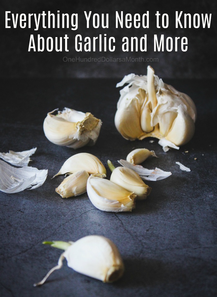 Everything You Need to Know About Garlic and More