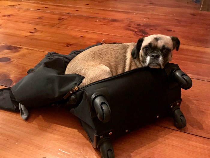 Season 10 – The Letter – Part 3