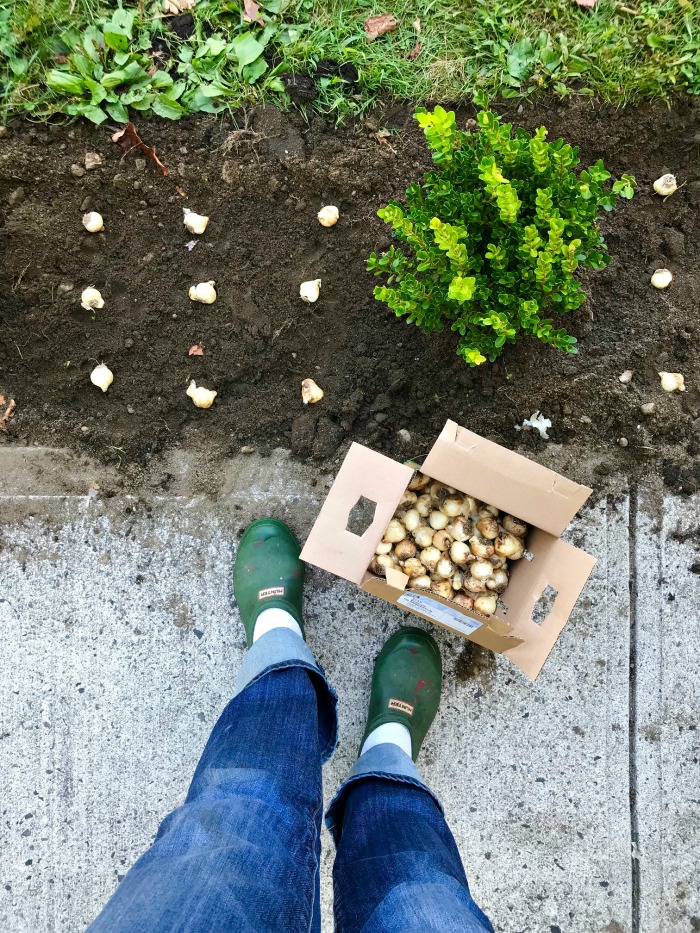 My 22 Goals for 2019 – Week 39 of 52