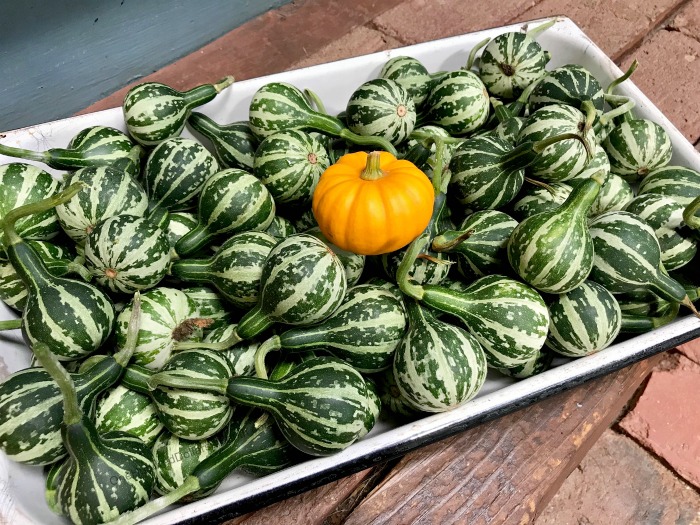 My 22 Goals for 2019 – Week 37 of 52