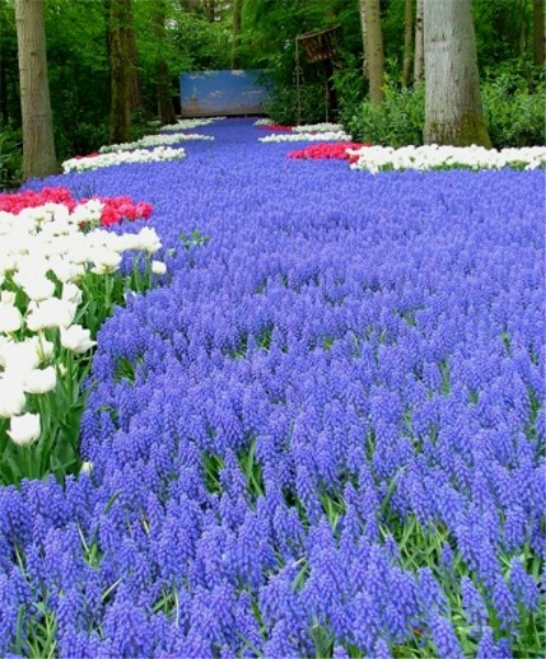 My 22 Goals for 2019 – Week 38 of 52