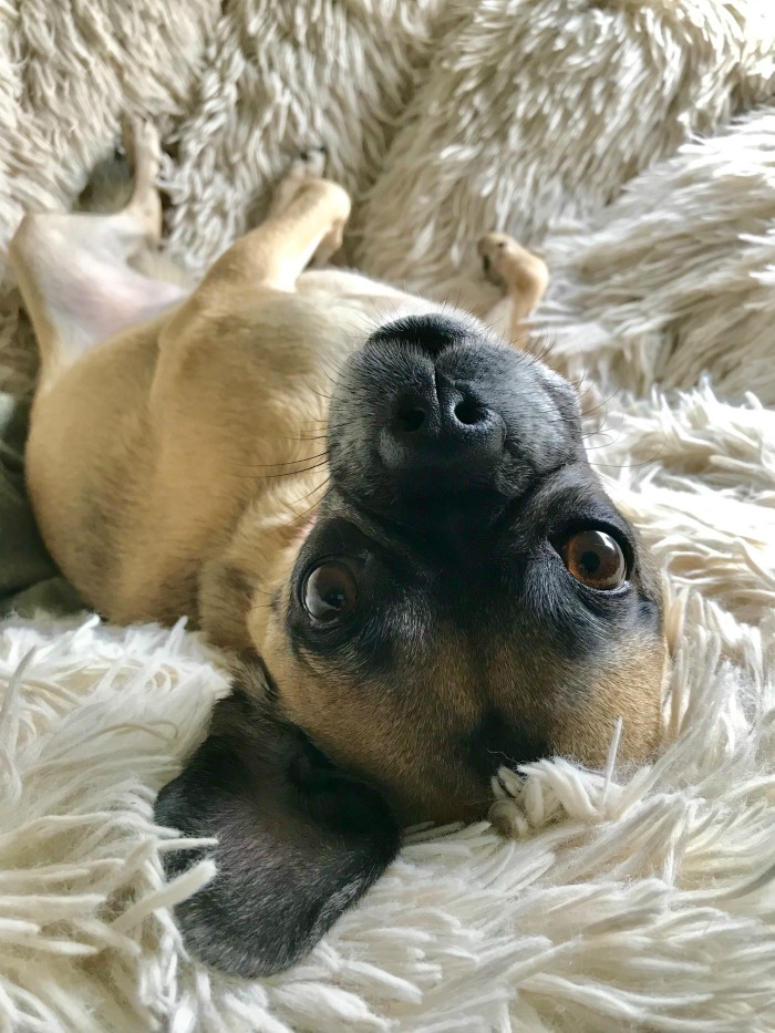 One Hundred Dollars a Month – Mavis’ Weekly Highlights 10/12/19