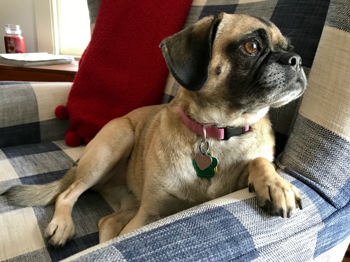 My 22 Goals for 2019 – Week 42 of 52